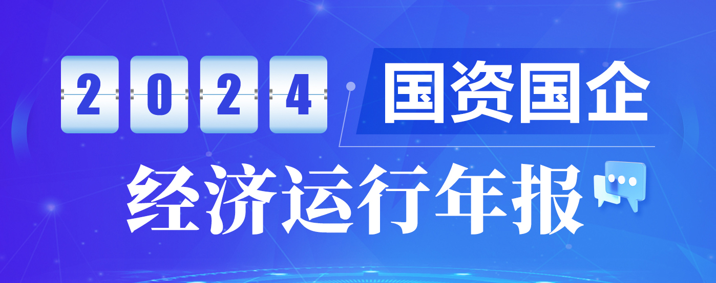 2024年國資國企經濟運行年報